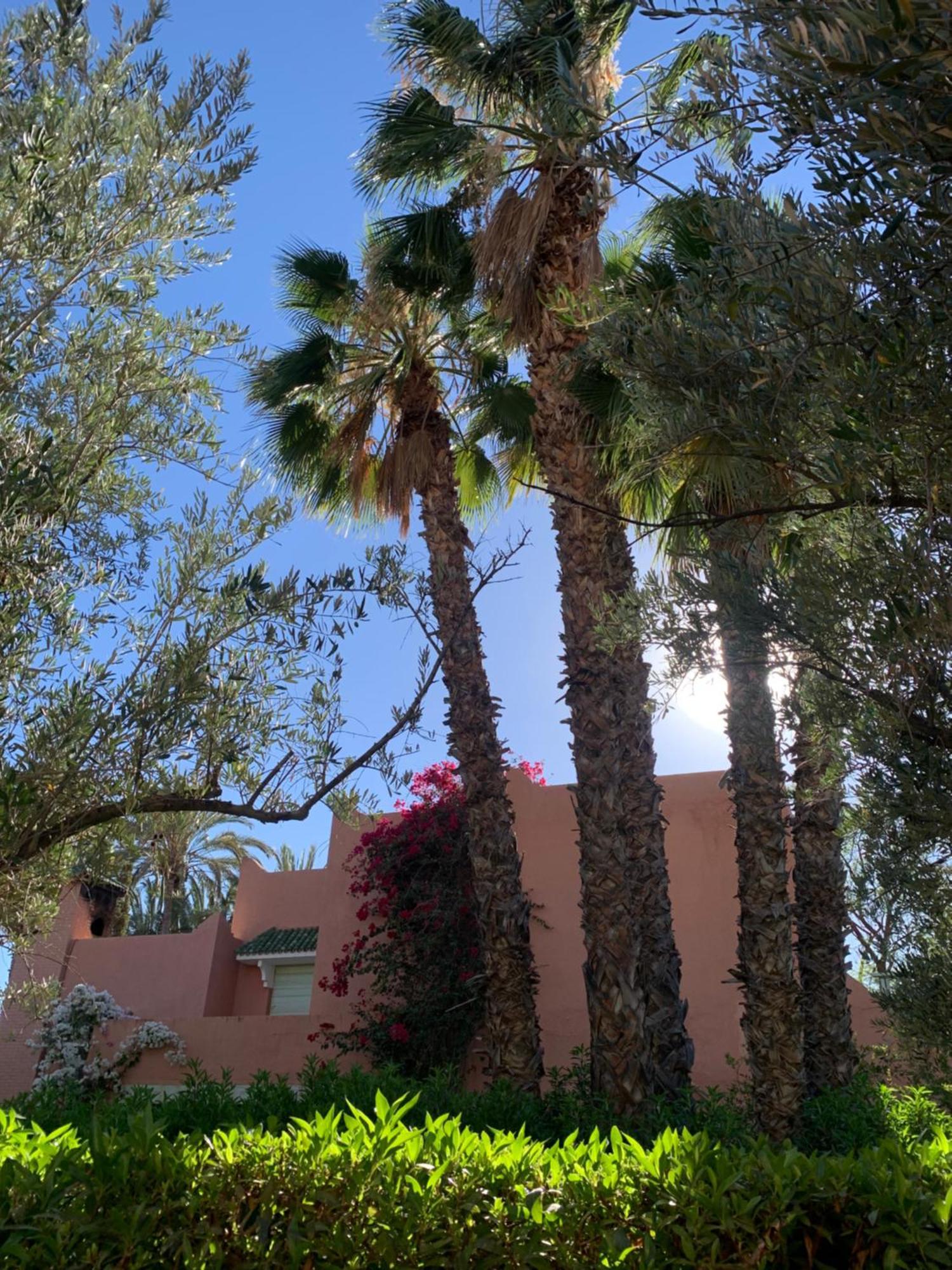 Villa Avec Piscine Privatisee A La Palmeraie 마라케시 외부 사진